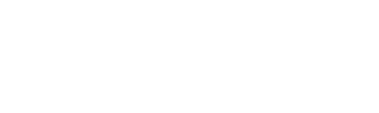 Cameron Venter logo